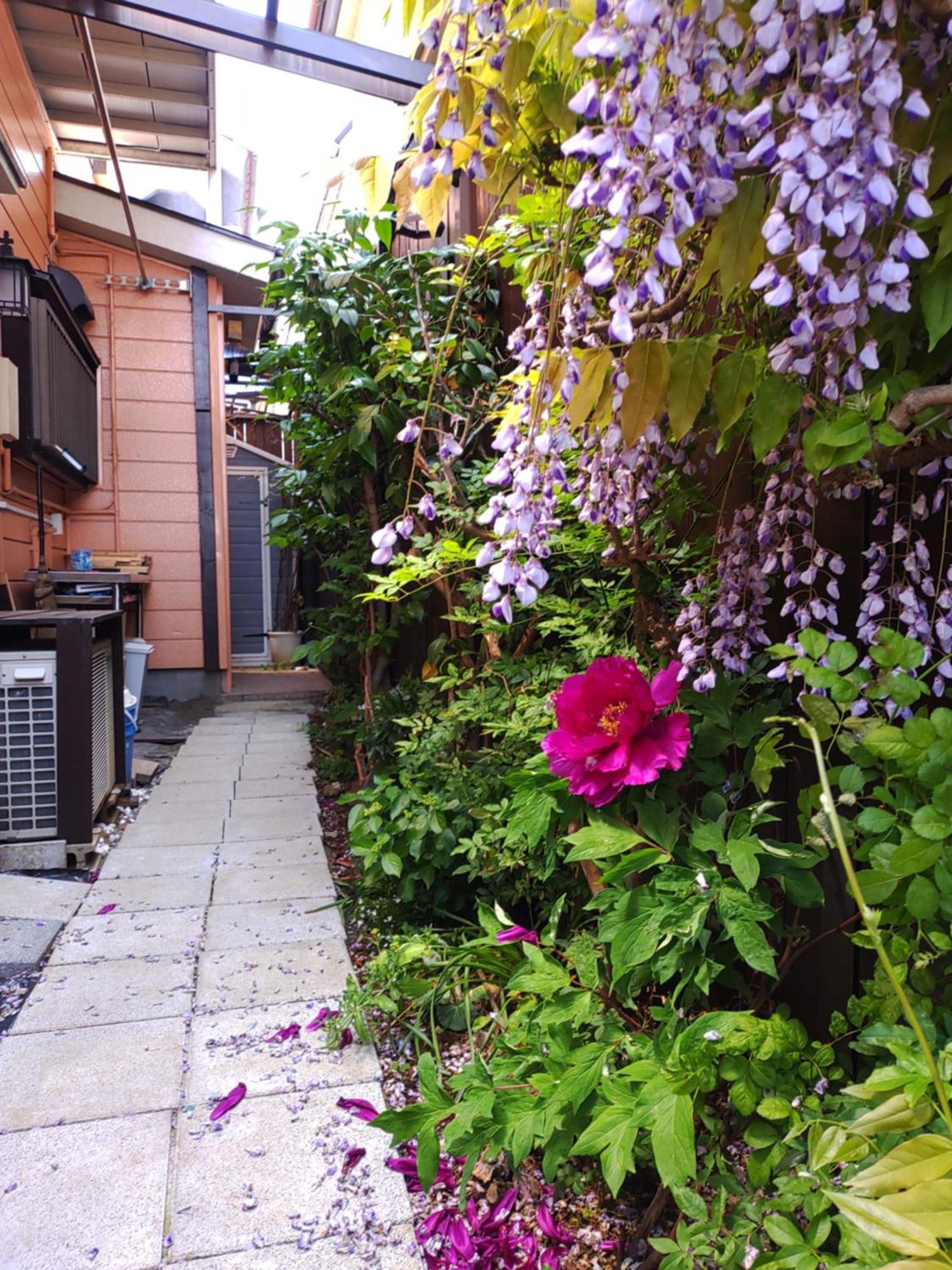 藤紫fujimurasaki Japanese Classic House * Tokio