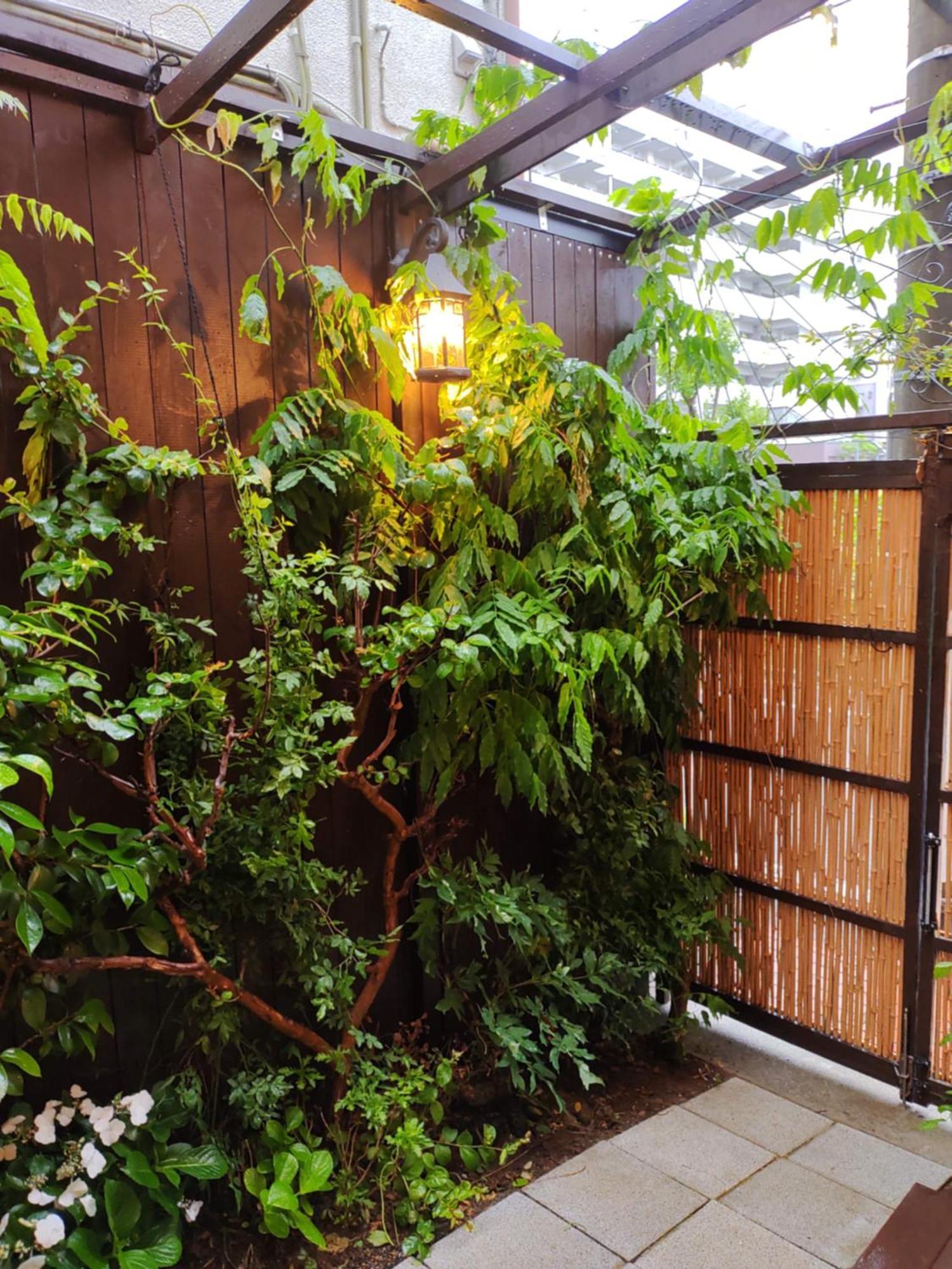 藤紫fujimurasaki Japanese Classic House * Tokio